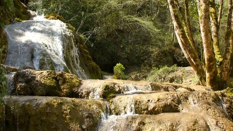 Pure Fresh Water Source of Mountain in the Forest 5	 Vidéo 84853010