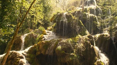 Pure Fresh Water Source of Mountain in the Forest 7	 Vidéo 84853245