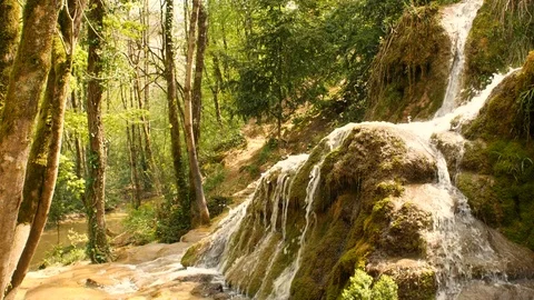 Pure Fresh Water Source of Mountain in the Forest 8	 Vidéo 84853251