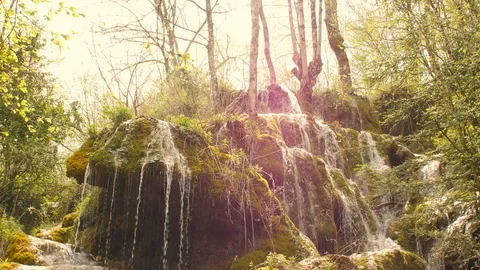 Pure Fresh Water Source of Mountain in the Forest 9	 Vidéo 84853305