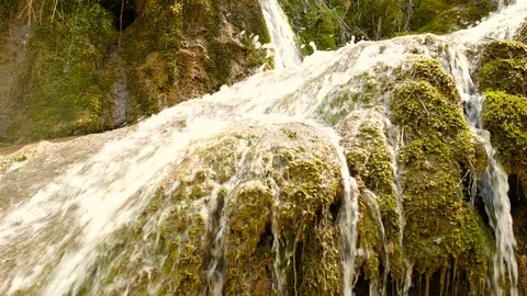 Pure Fresh Water Source of Mountain in the Forest 10 Vidéo 84853382