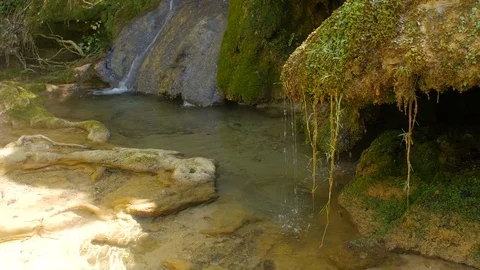 Pure Fresh Water Source of Mountain in the Forest 11	 Vidéo 84853383