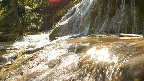Pure Fresh Water Source of Mountain in the Forest 3	 Vidéo 94689850