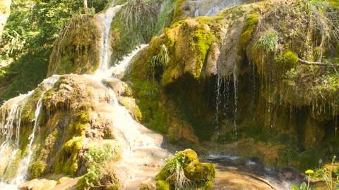 Pure Fresh Water Source of Mountain in the Forest 14	 Vidéo 94689920
