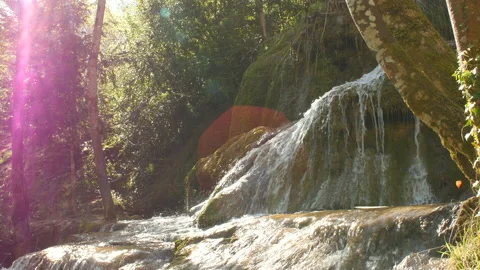 Pure Fresh Water Source of Mountain in the Forest 2	 Vidéo 94690305