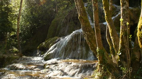 Pure Fresh Water Source of Mountain in the Forest 1	 Vidéo 94690323