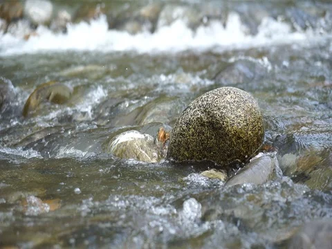 Pure fresh water waterfall in forest Stock Footage 74874370