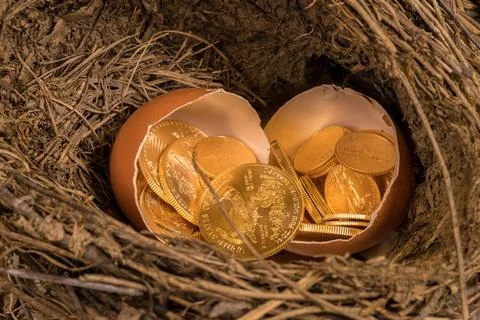 Pure gold coins in egg shell illustrating nest egg Selection of pure gold ... Stock Photos
