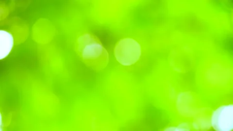 Green Tree Blur Background Stock Footage ~ Royalty Free Stock Videos | Pond5