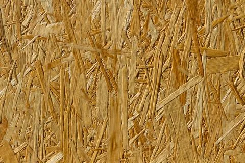 Pure large textural surface of OSB. Stock Photos
