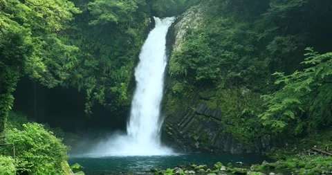 Pure Lotus Waterfall 스톡 동영상 332410210