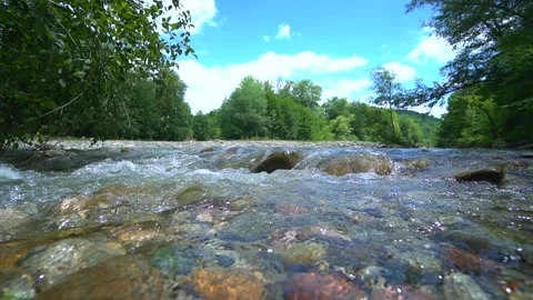 Pure mountain cold water flows over rocks covered with moss. River in the forest Video stock 142432444
