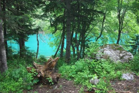 Pure mountain lake 写真素材
