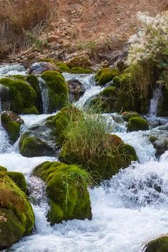A pure mountain river flows in a mountain valley. Stock Photos