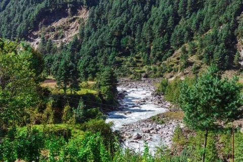 Pure mountain river Stock Photos