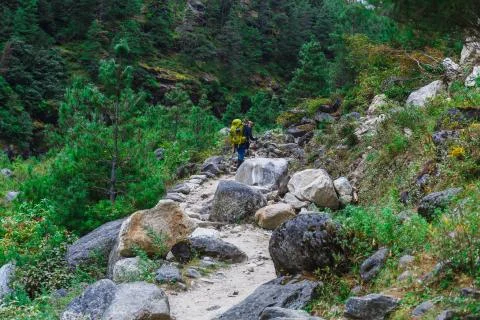 Pure mountain river Stock Photos
