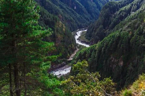 Pure mountain river Stockfoto's