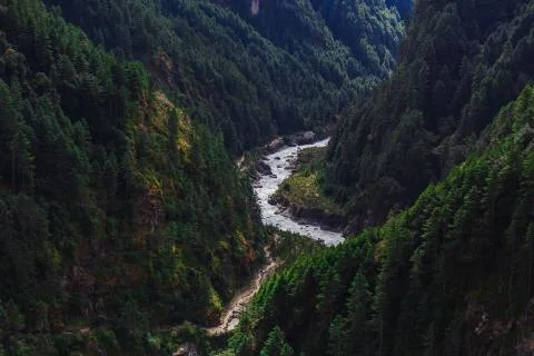 Pure mountain river Fotos Stock