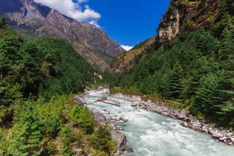 Pure mountain river 库存照片