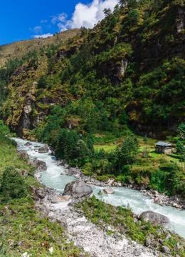 Pure mountain river Foto stock