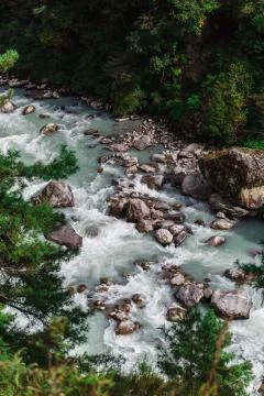 Pure mountain river Fotos Stock