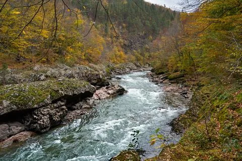 Pure mountain river. Stock Photos