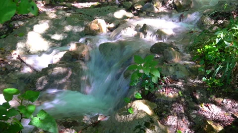 Pure mountain spring flowing deep in the mountains 스톡 동영상 94240183