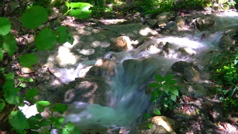Pure mountain spring flowing deep in the mountains Stock Footage 94240428