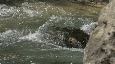 Pure mountain water flows over rocks covered with moss. River stream. Pure Stock Footage 155438238