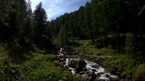 Pure mountain water source slow motion sustainable alpine ecosystem Stock Footage 311163353