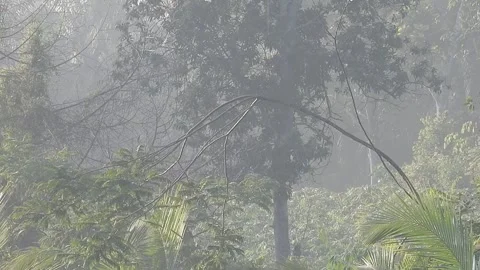 Pure Natural Landscape Without Any Digital Enhancements Stock Footage 308453023