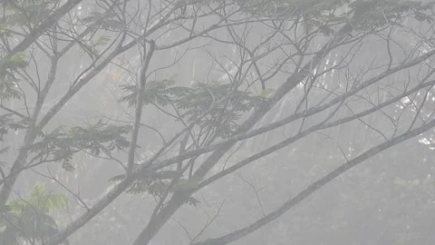 Pure Natural Landscape Without Any Digital Enhancements Stock Footage 308535477