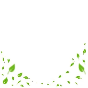 Pure Nature Background with Falling Leaves for Green Energy Flyer. Vector Stock Illustration