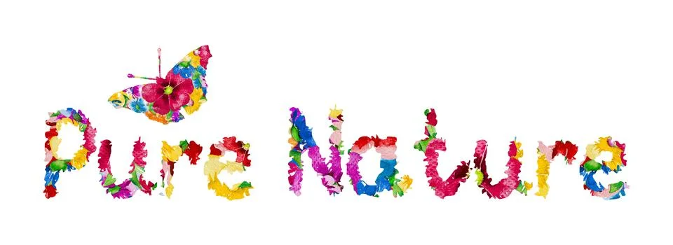 Pure Nature background with hand lettering and colorful butterfly. Illustrazione stock