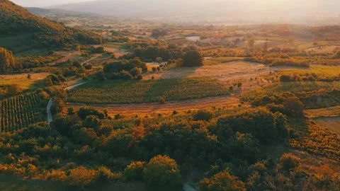 Pure nature Stock Footage 144041069