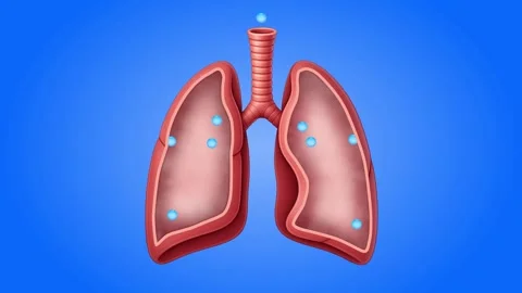 Pure Oxygen Sphere Cleansing Cigarette Smoke from Human Lungs Stock Footage 317145582
