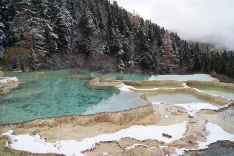 The Pure Stock Photos