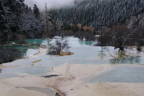 The Pure Stock Photos