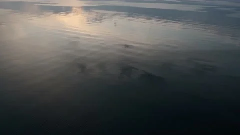 Pure quiet smooth water surface. Stock Footage 142848868