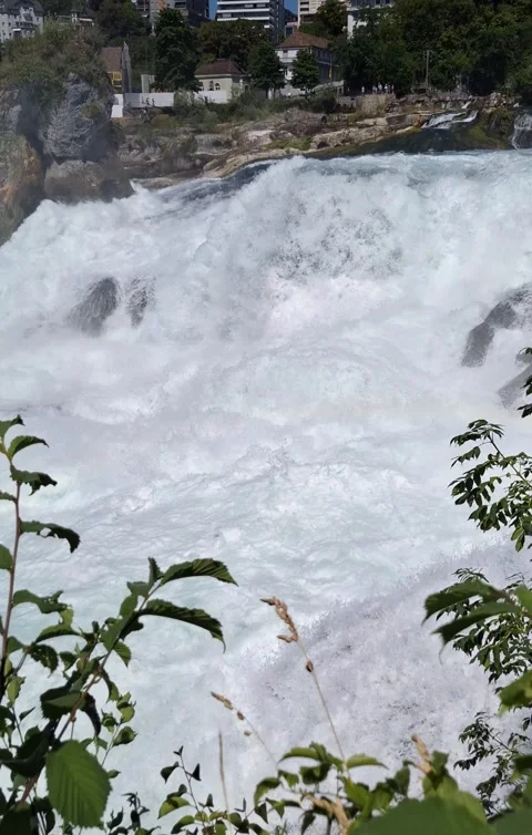 Pure refreshment in a Swiss Rheinfall Video stock 339244846