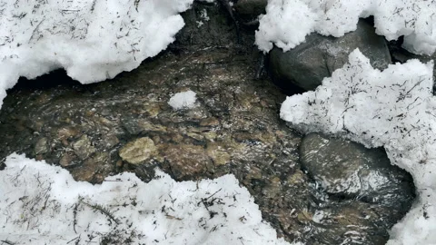 Pure river under winter snow. Closeup stream chilly flow in nature background. Stock Footage 166978995