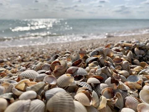 Pure sand and shell by the sea Stock Photos