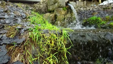 Pure spring in the pipe Video stock 73184575