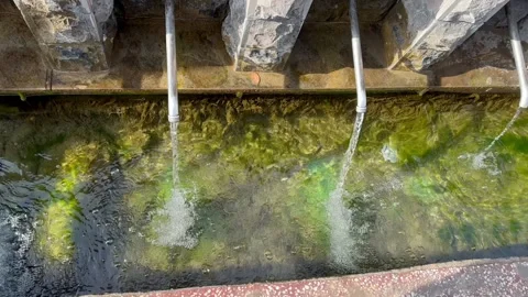 Pure spring water flows from the tap Stock Footage 254125040