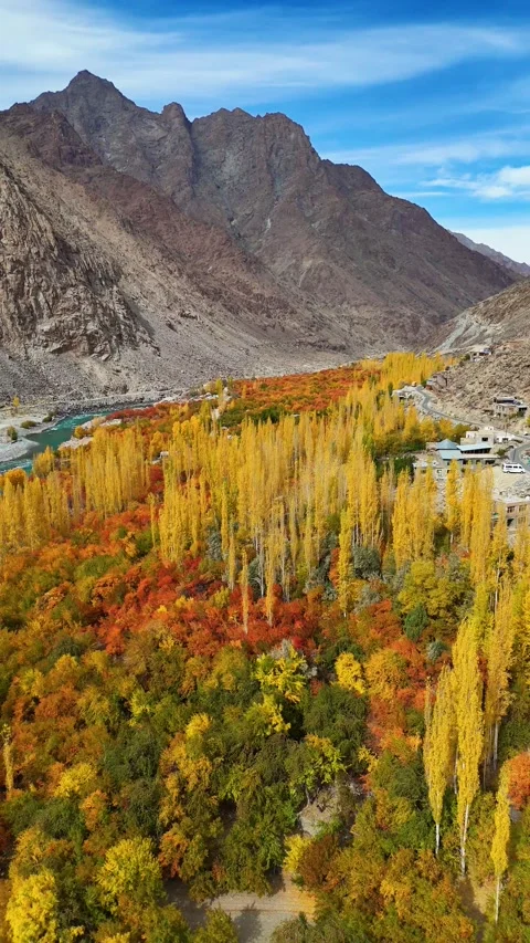 Pure tranquility in vertical drone footage of Kargil’s autumn. Stock Footage 310665266