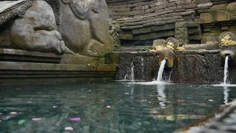 Pure transparent water of spring streams in Pura Tirta Empul Temple - 4K Stock Footage 195531092