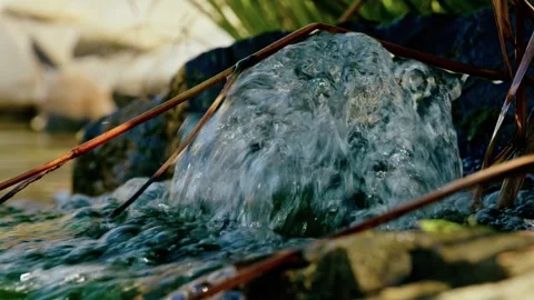 Pure Water Bubbling and Flowing into Garden Pond Close Up 2 Video stock 343671933