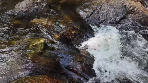 Pure Water - Close Up Shot Stock-Footage 264354223