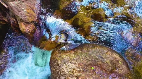 Pure Water Flowing in the Forest Stock Footage 264352965