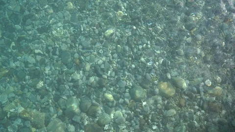 Pure water Stock Footage 105543455